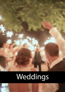 Gif Out Loud